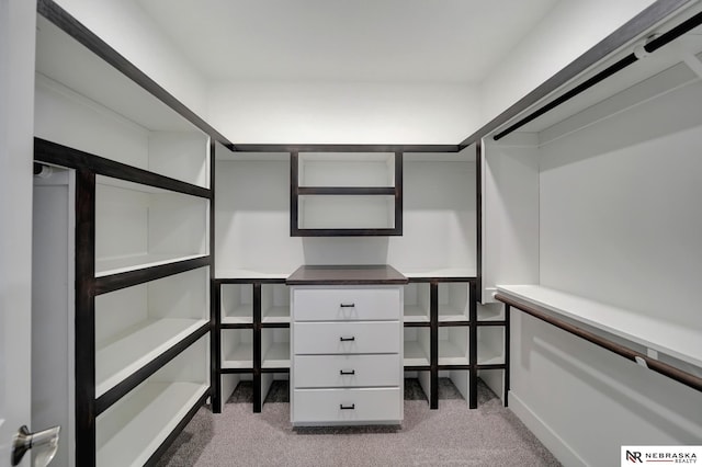 walk in closet with light carpet