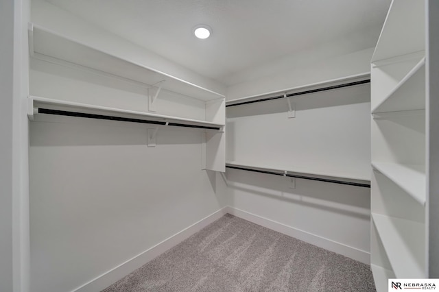 spacious closet with carpet