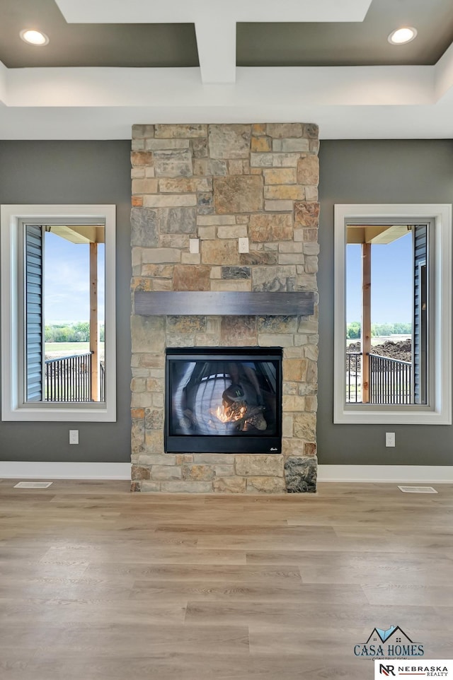 room details with baseboards, a raised ceiling, wood finished floors, and a stone fireplace