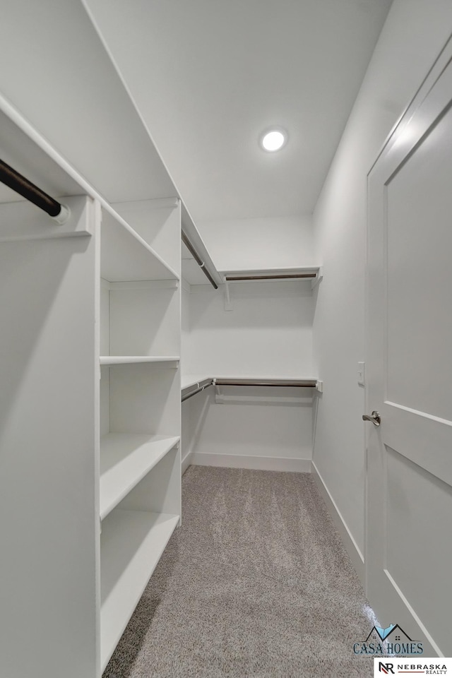 spacious closet featuring carpet flooring