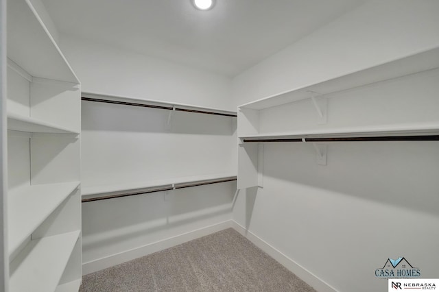 walk in closet with carpet flooring