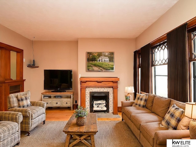 living area featuring a fireplace and wood finished floors