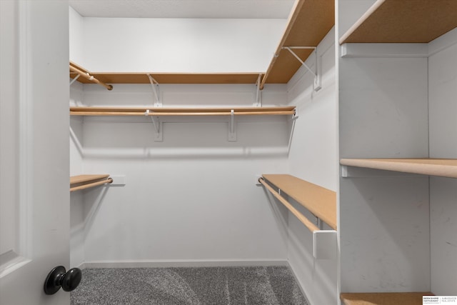 spacious closet with dark colored carpet