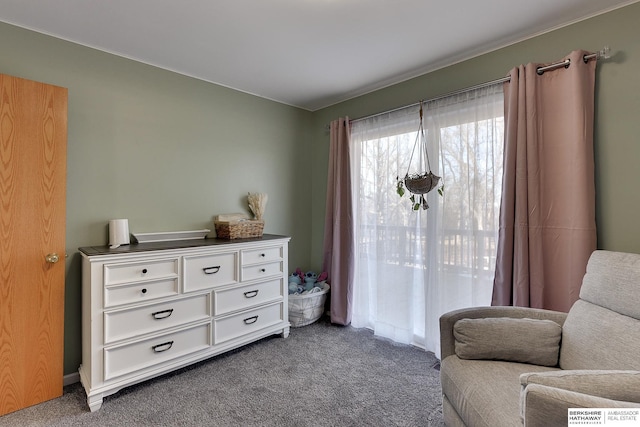 living area featuring dark colored carpet