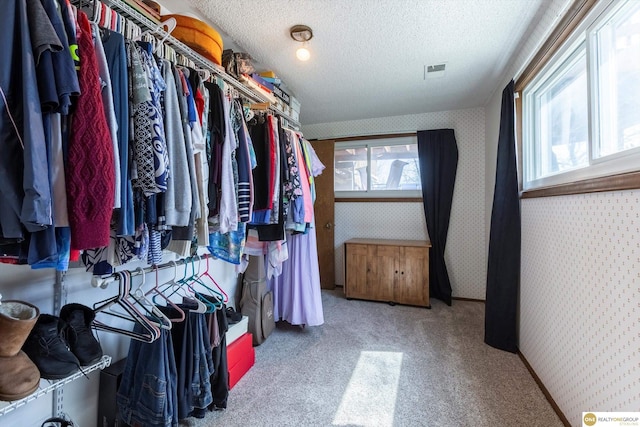 spacious closet featuring carpet floors and visible vents