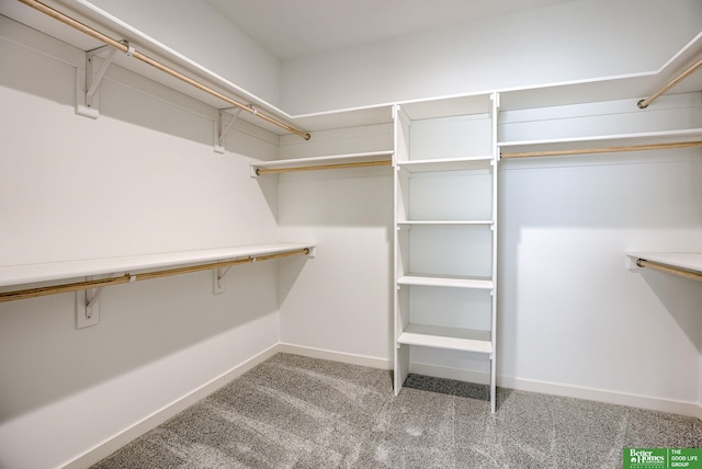 walk in closet featuring carpet flooring