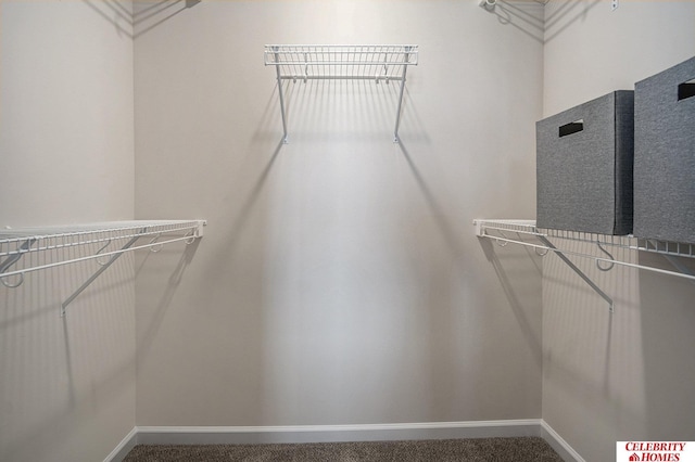 spacious closet with carpet