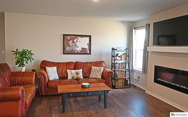 living area featuring wood-type flooring, baseboards, and a glass covered fireplace