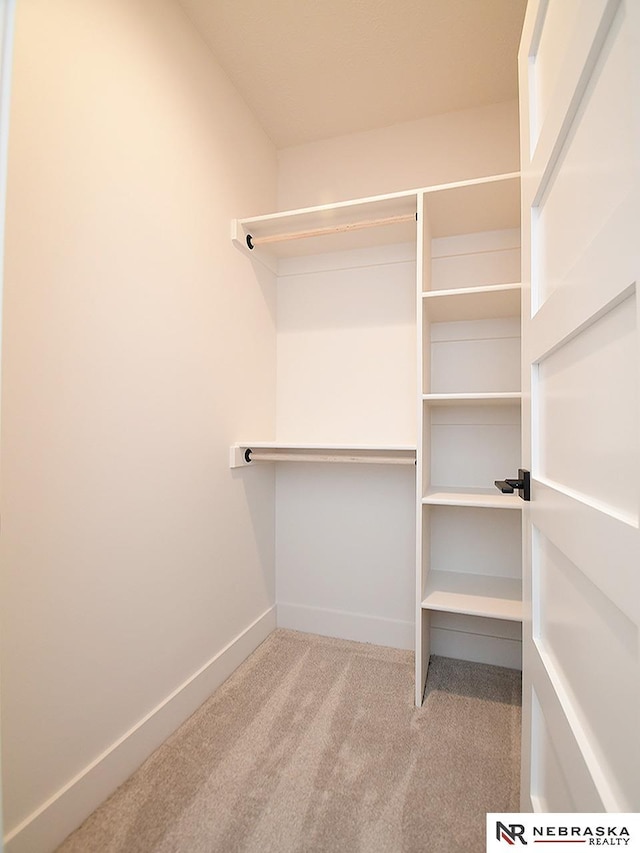 spacious closet featuring carpet