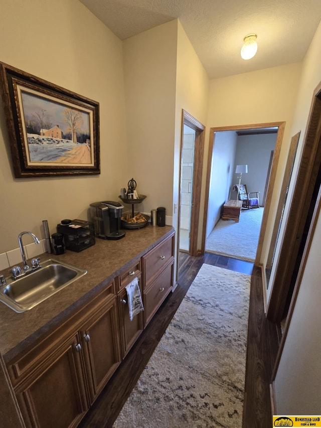 hall featuring dark wood-type flooring and a sink