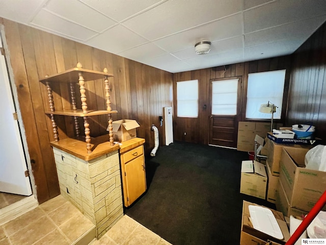 interior space with carpet and wood walls