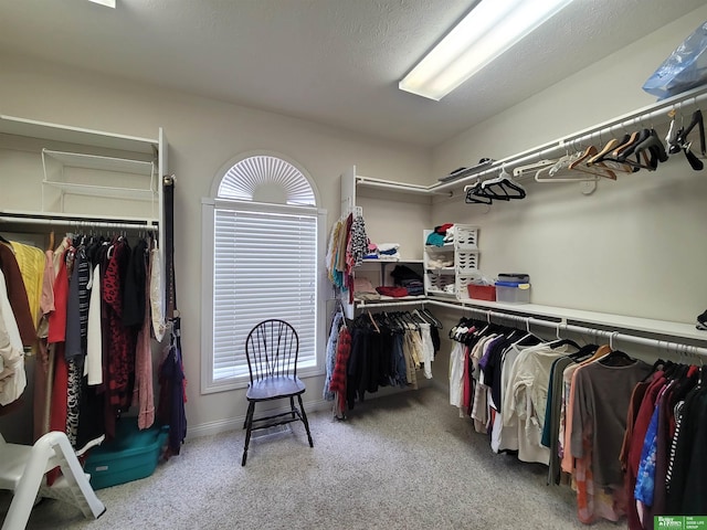 walk in closet with carpet