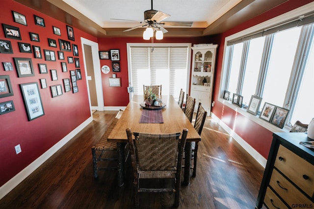 dining space with a tray ceiling, dark wood finished floors, and baseboards