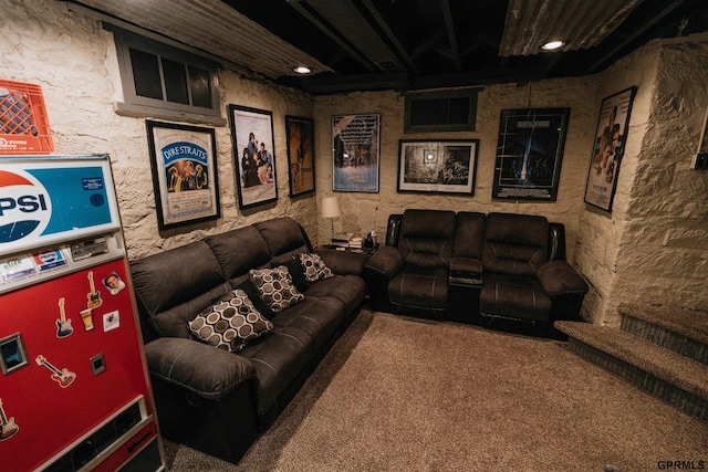 cinema with carpet floors