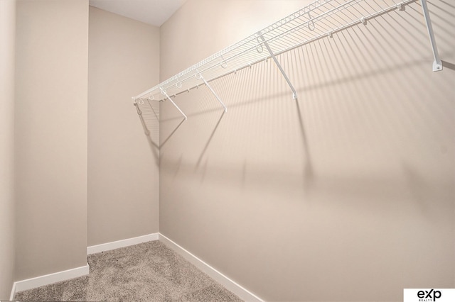 spacious closet with carpet