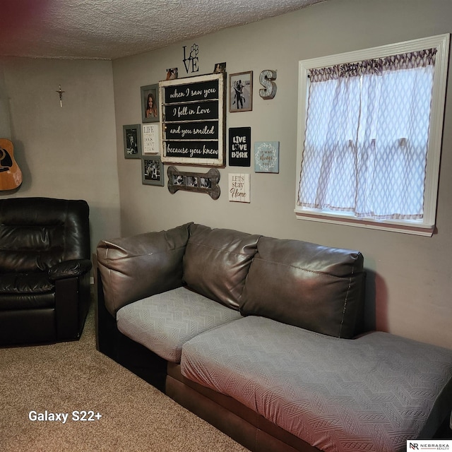 carpeted living room featuring a textured ceiling