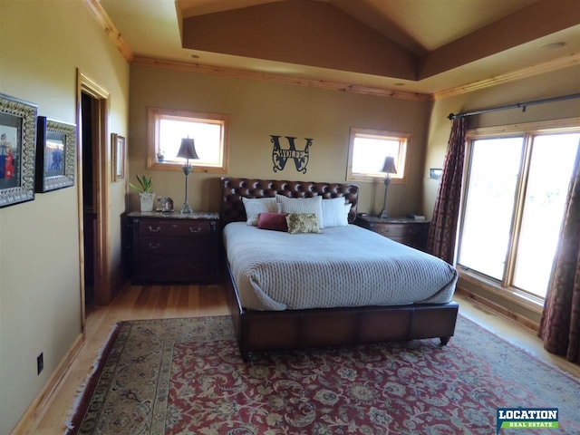 bedroom with multiple windows and a raised ceiling