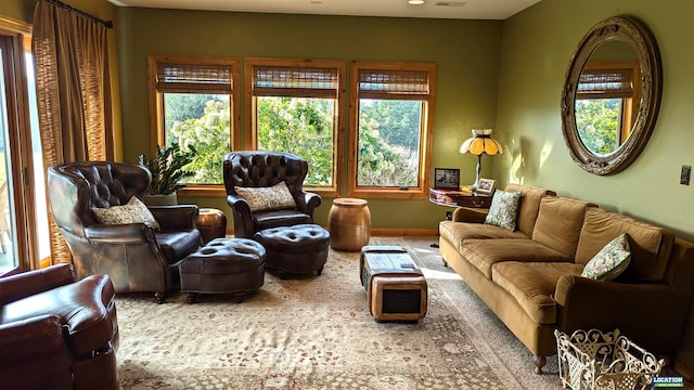 carpeted living area with baseboards and a wealth of natural light