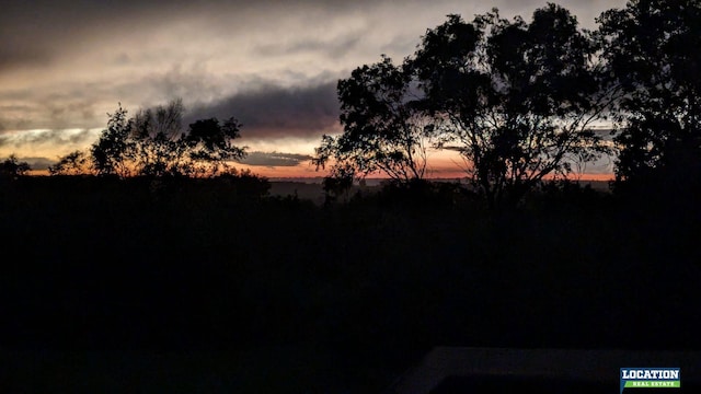 view of nature at dusk