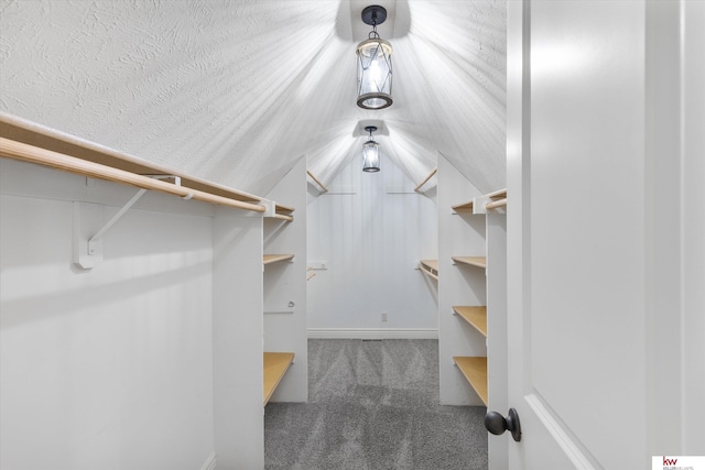 spacious closet with carpet