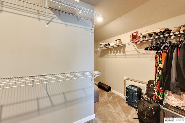 spacious closet featuring carpet flooring