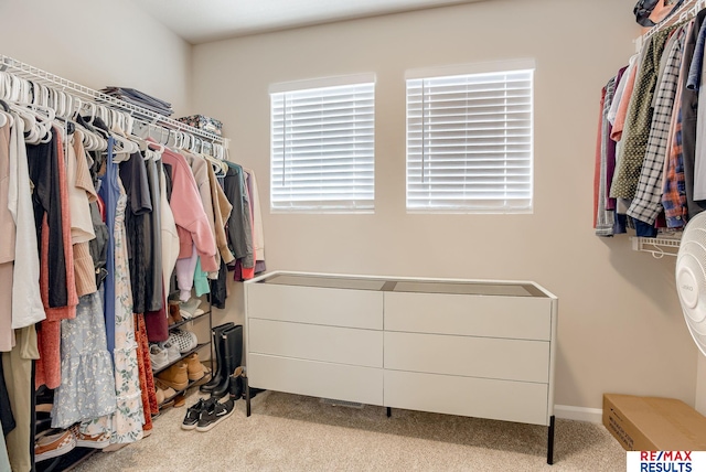 walk in closet featuring carpet