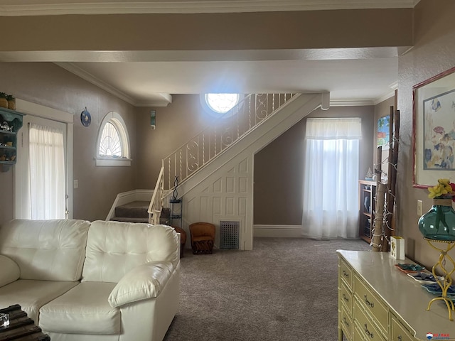 carpeted living area with stairs, visible vents, and crown molding