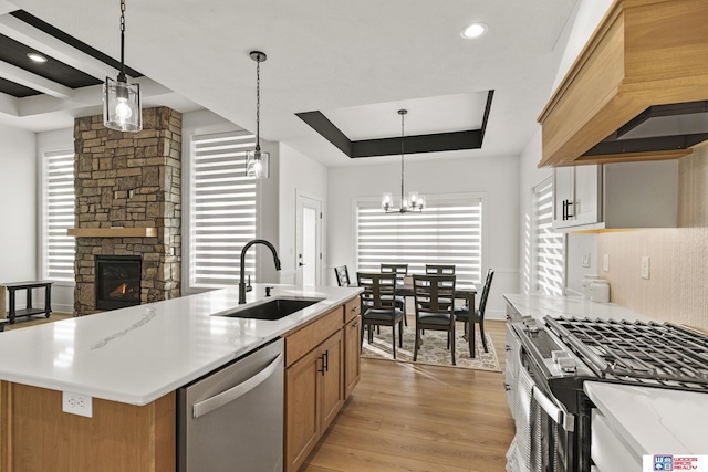 kitchen featuring a tray ceiling, appliances with stainless steel finishes, light wood-style floors, a sink, and premium range hood