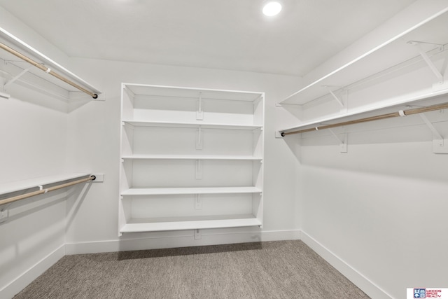 spacious closet with carpet flooring