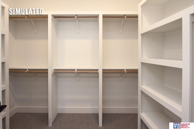 walk in closet featuring carpet flooring