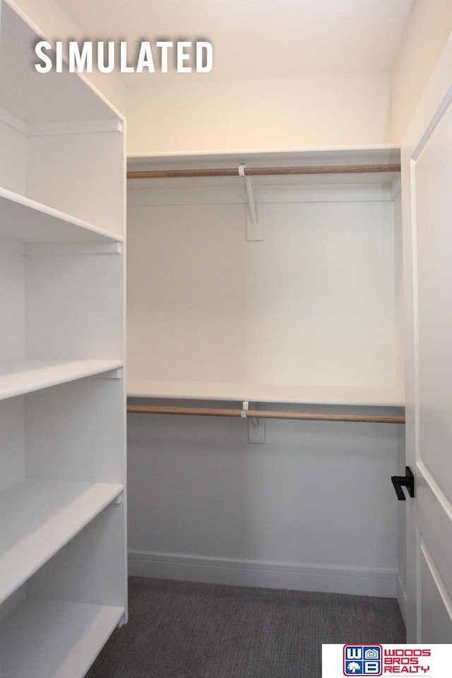 spacious closet with carpet floors