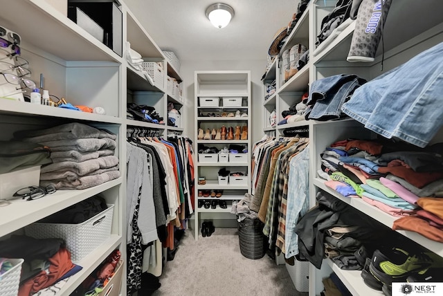 walk in closet featuring carpet