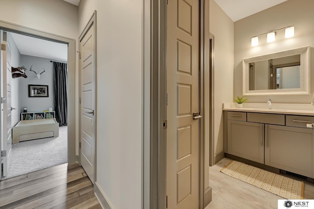 bathroom with wood finished floors and vanity