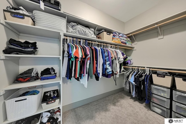 walk in closet featuring carpet floors