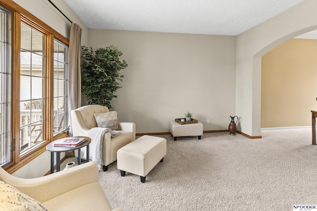 living area with arched walkways, carpet flooring, and baseboards