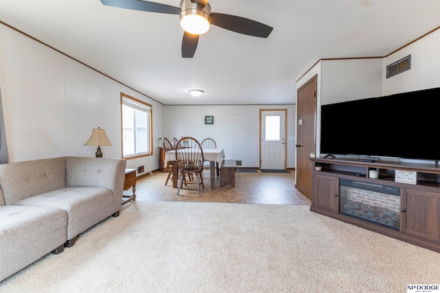 carpeted living room featuring a ceiling fan, visible vents, and crown molding