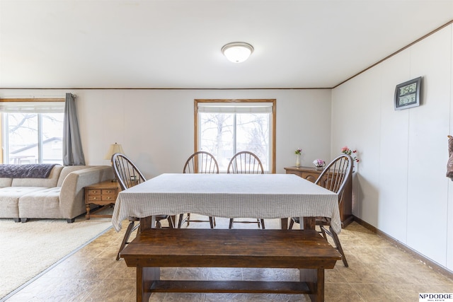 dining space featuring a wealth of natural light