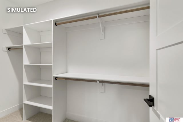 spacious closet featuring light colored carpet