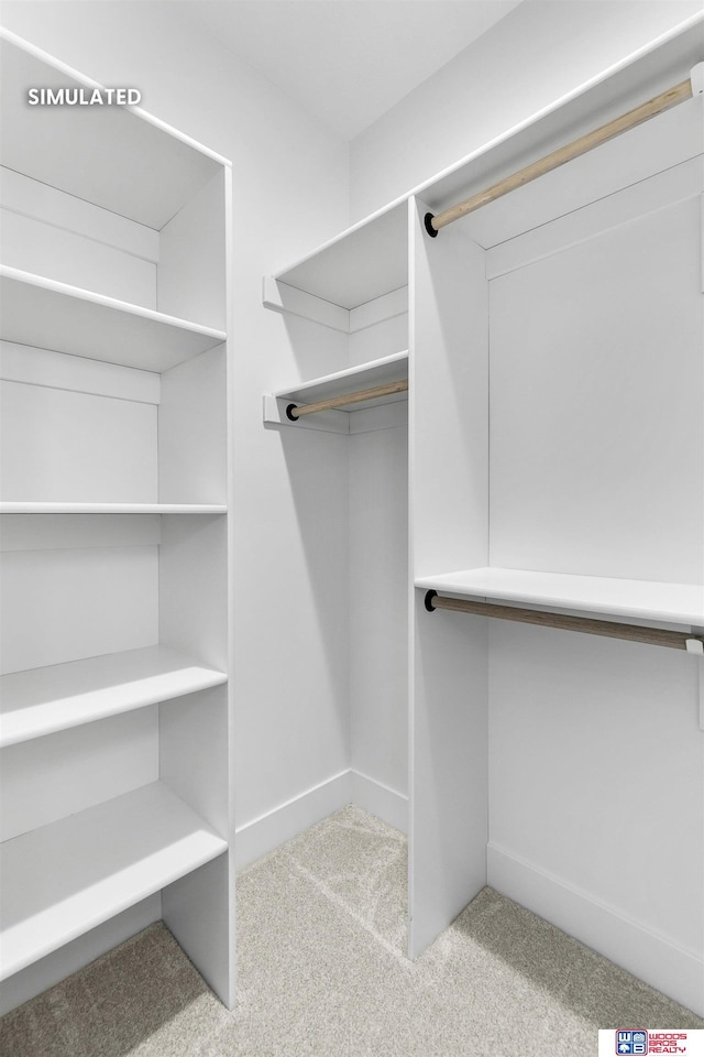 spacious closet featuring carpet flooring