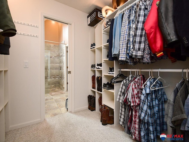 walk in closet featuring carpet