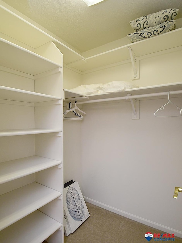 spacious closet with carpet floors