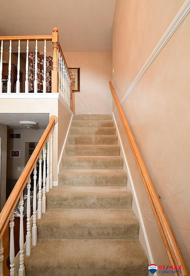 stairway with carpet floors