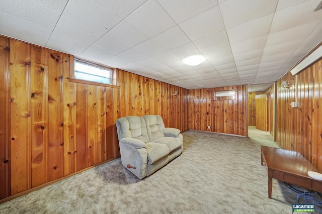 living area featuring wood walls and carpet flooring