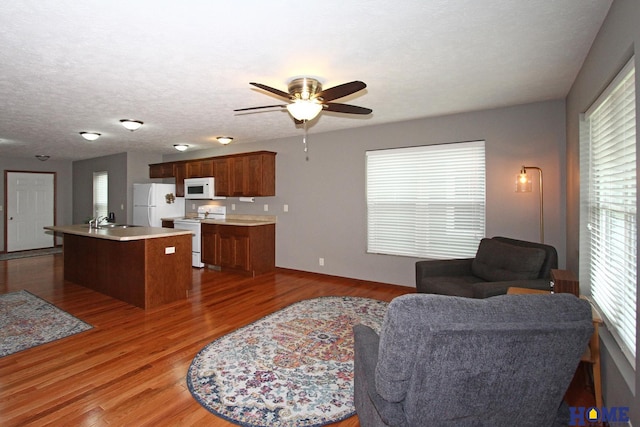 living room featuring a healthy amount of sunlight, light wood-style floors, a ceiling fan, and a textured ceiling