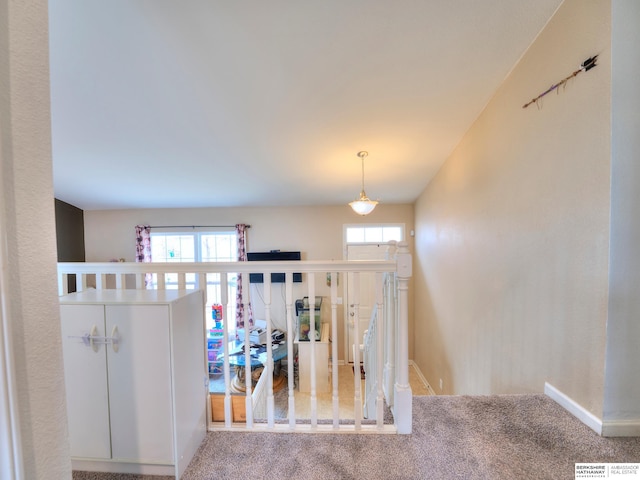 foyer entrance with carpet floors