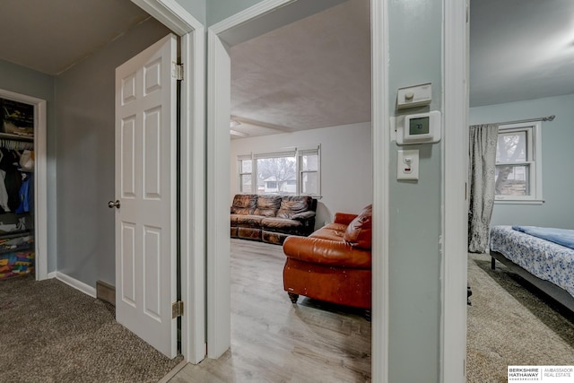 hall featuring carpet flooring, baseboards, and wood finished floors