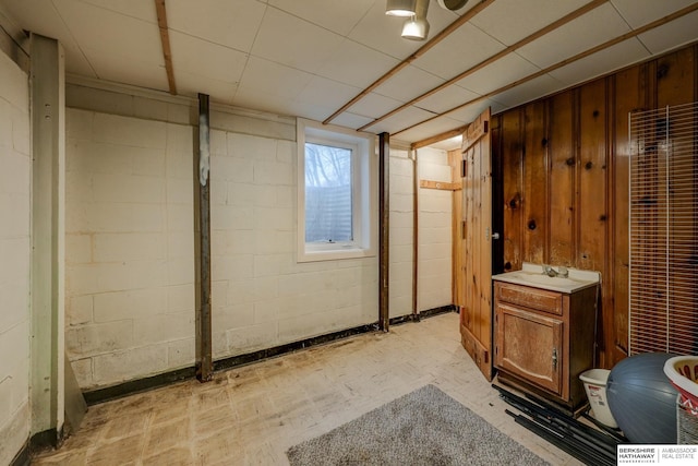 basement with wooden walls and a sink