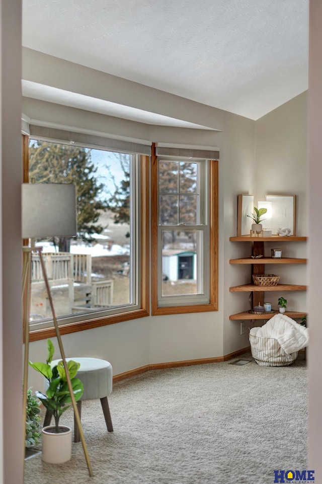 unfurnished room featuring carpet and baseboards