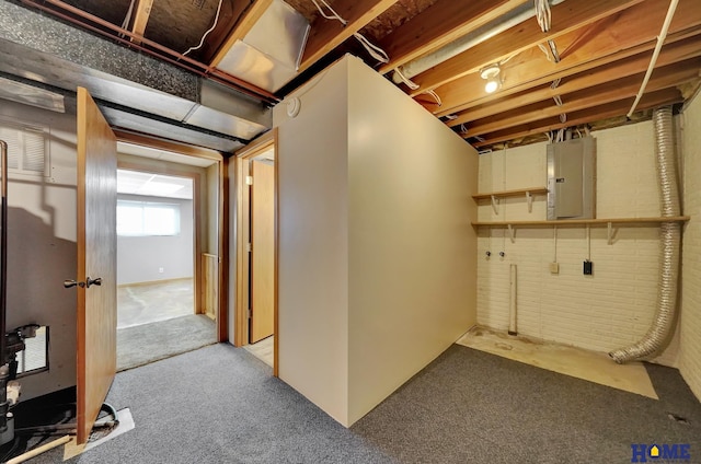 basement with carpet floors and electric panel