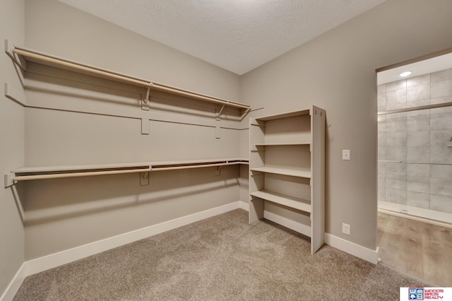 walk in closet with carpet